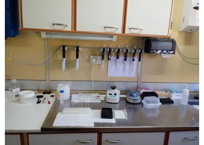 laboratorio